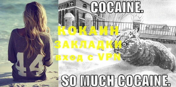 apvp Каменка