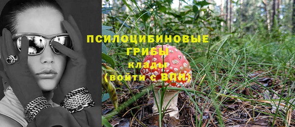 а пвп мука Инсар